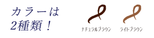 カラーは2種類